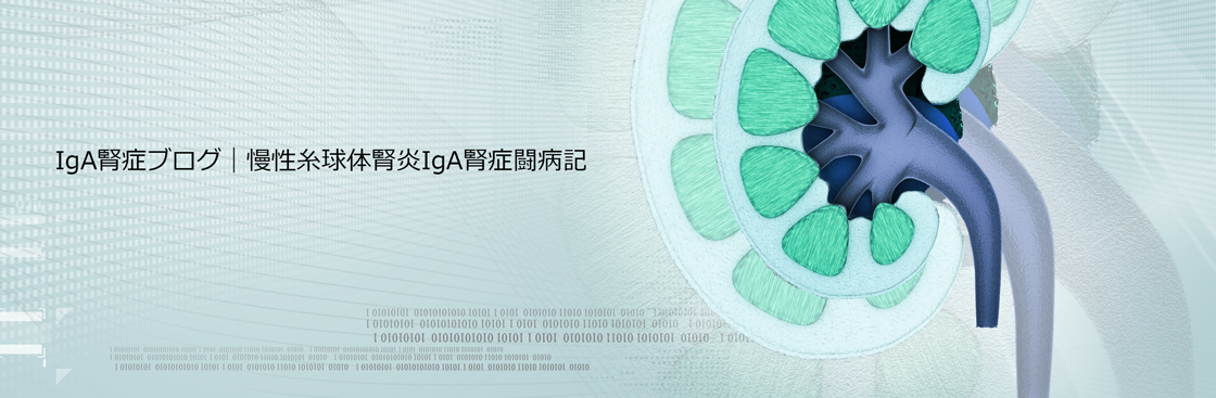 IgA腎症ブログ|慢性糸球体腎炎IgA腎症闘病記 IgA腎症ブログ|慢性糸球体腎炎IgA腎症闘病記