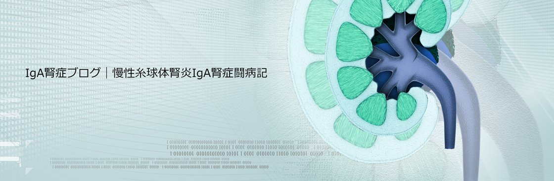 IgA腎症ブログ|慢性糸球体腎炎IgA腎症闘病記 IgA腎症ブログ|慢性糸球体腎炎IgA腎症闘病記